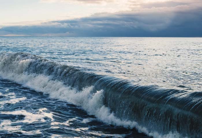 alm ocean wave curling and breaking near the shore under a soft twilight sky